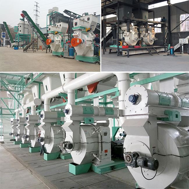 wood pellet production line 