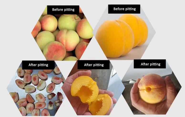 fruit pitting machine2