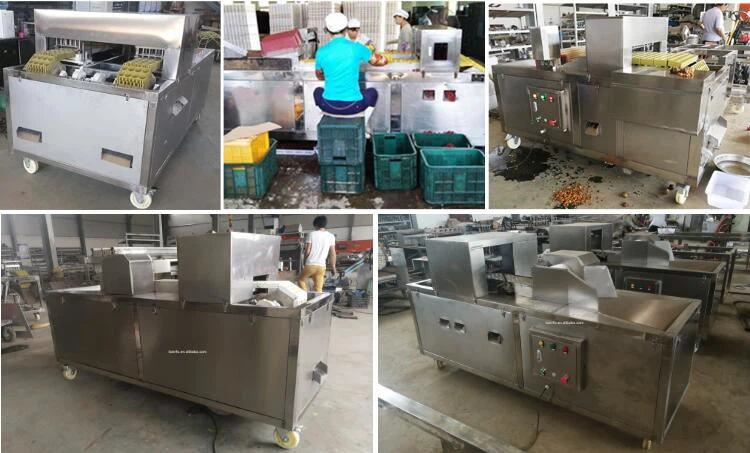 fruit pitting machine