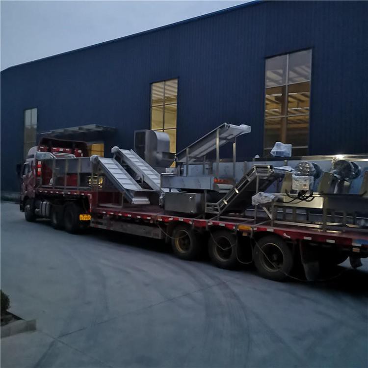 vegetable and fruit washing machine