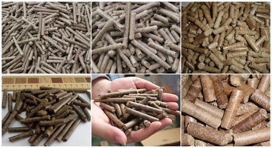 pellets making machine