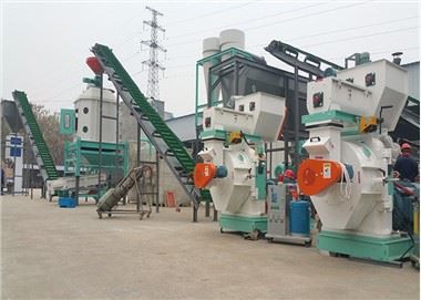 Automatische komplette Produktionslinie für Holzpellets