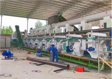 Komplette Sägemehl-Pelletanlage